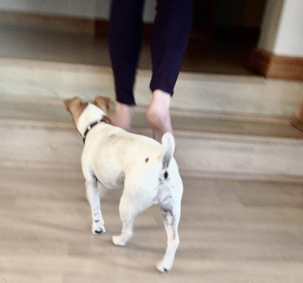 Lizzy ToniIMG 0214 1 1024x956