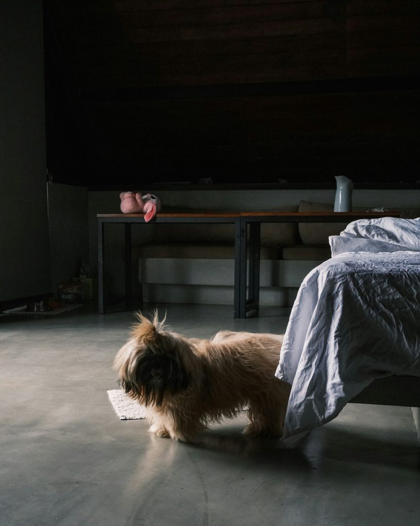 Monkwork X0yMDyUzRnw Unsplash 1 819x1024