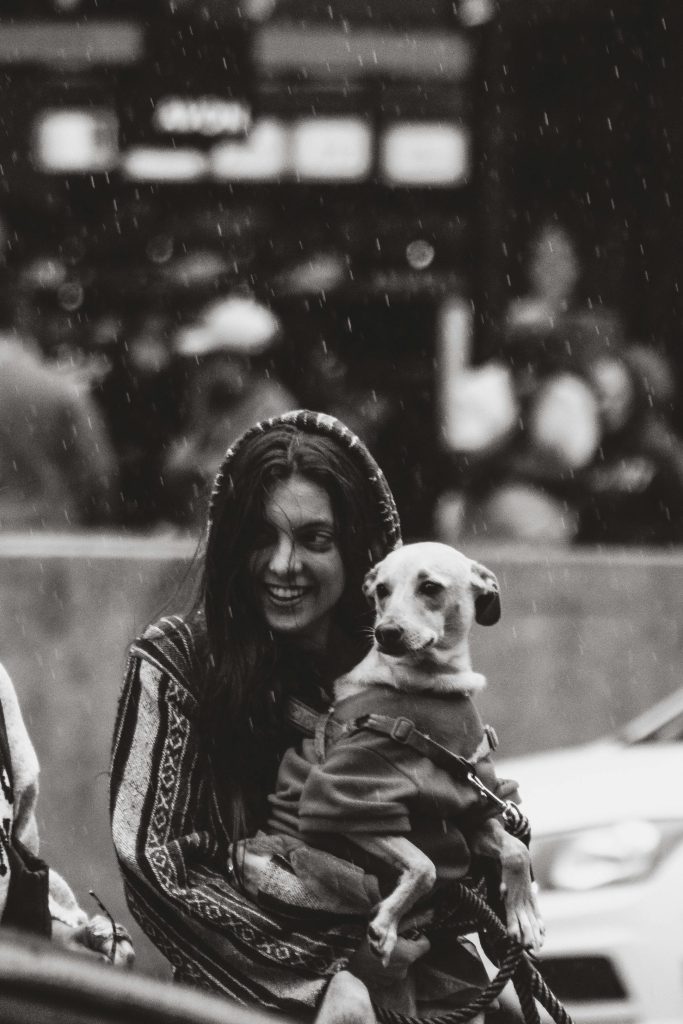 pexels jordanfotografo 29153138